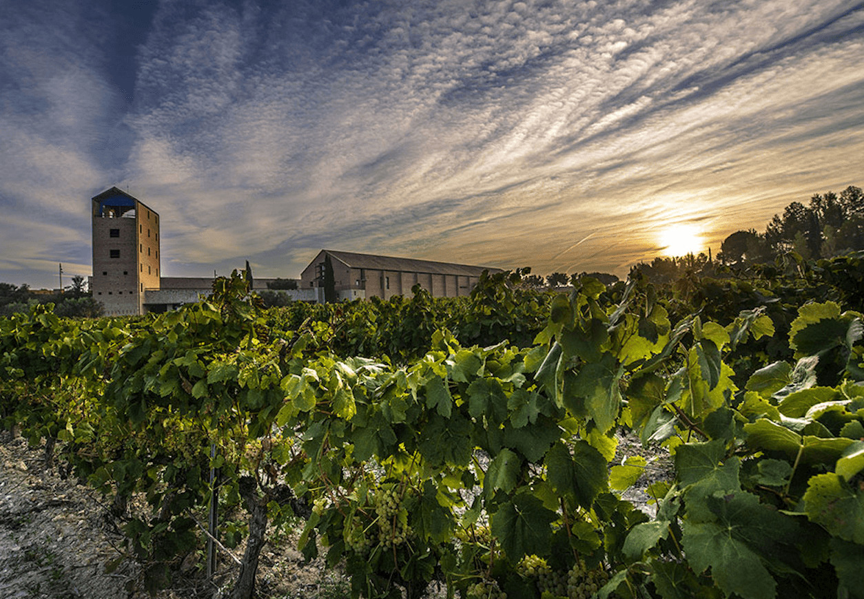 La bodega de Espiells de Juvé & Camps Foto: Juvé & Camps