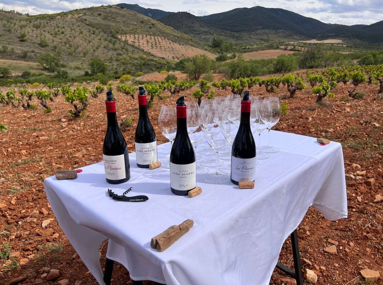 4 vinos de Calatayud