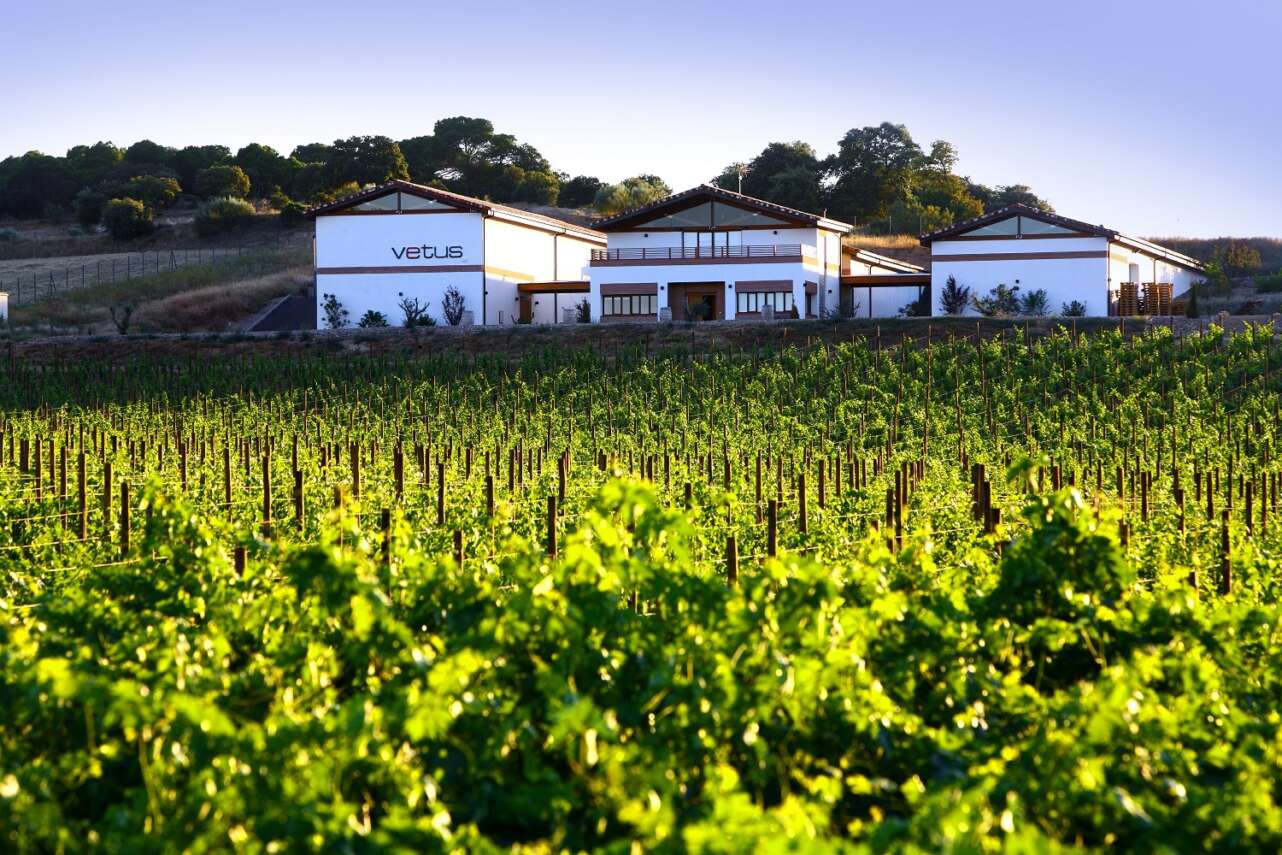 Bodega Vetus, Toro