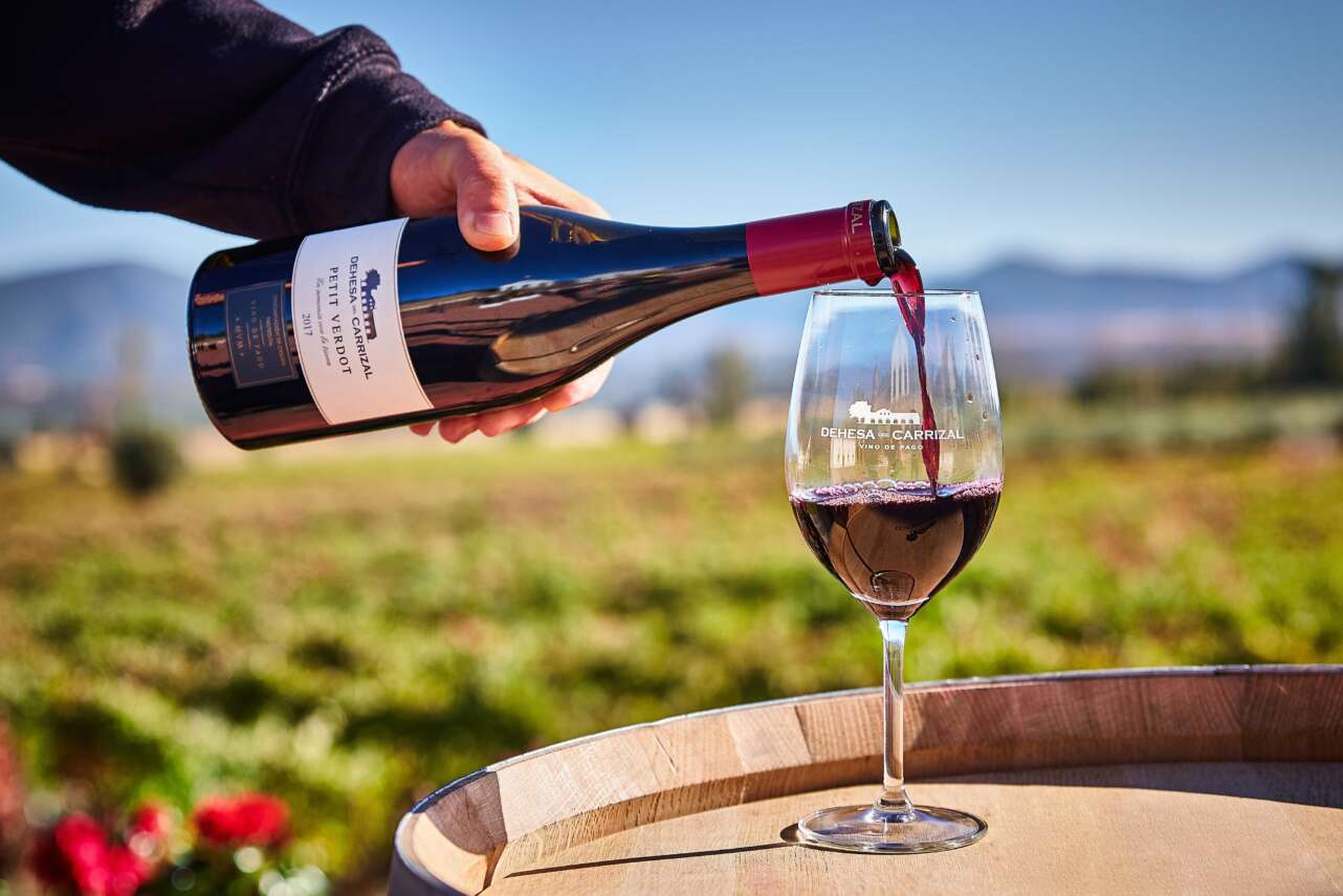 Vino petit verdot