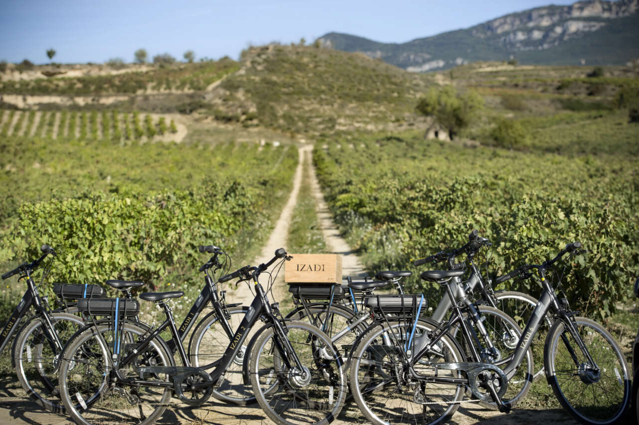 Enoturismo en bici eléctrica