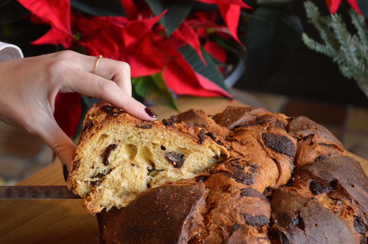 Izadittone, el panettone de Bodegas Izadi