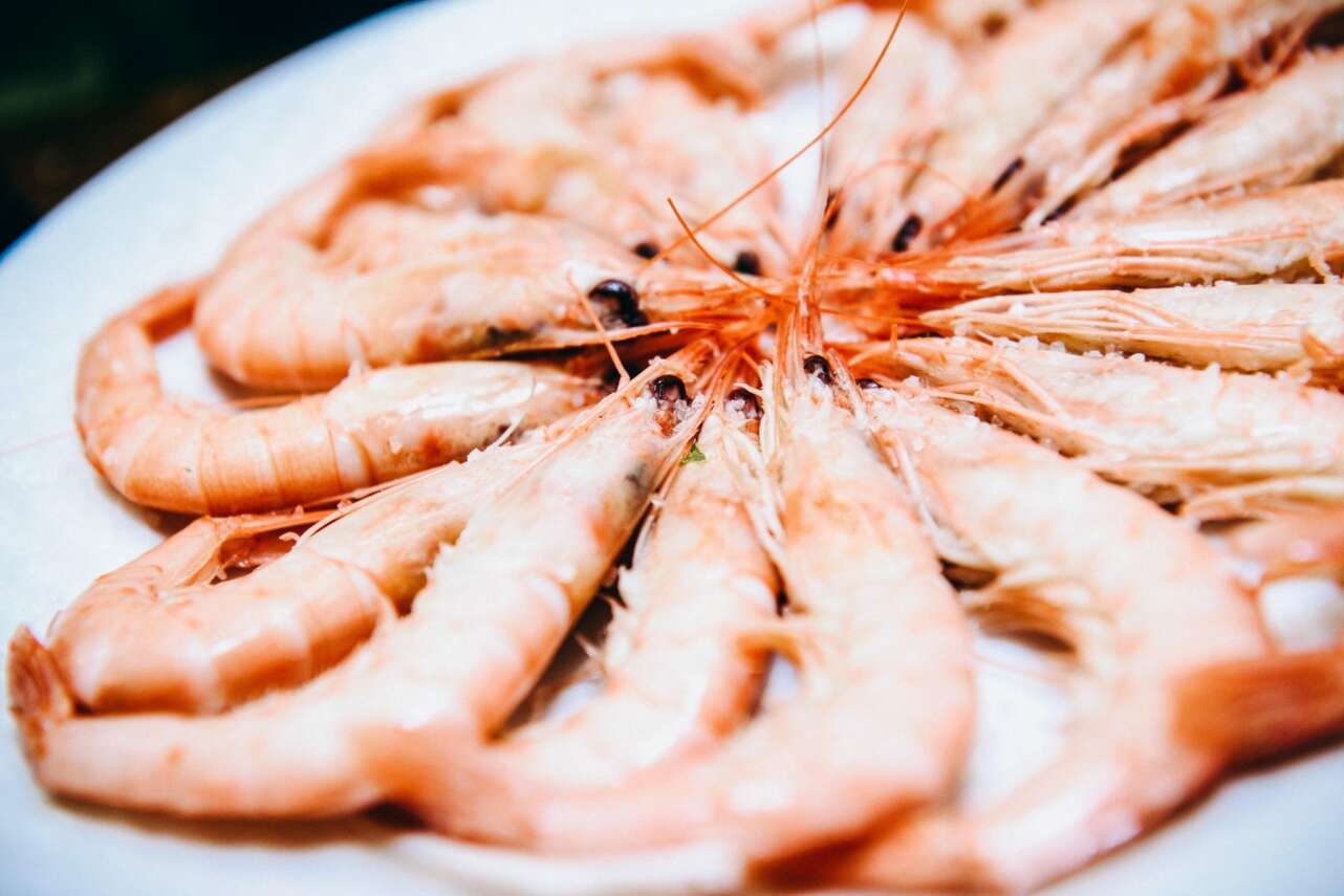Plato de gamba blanca de Huelva