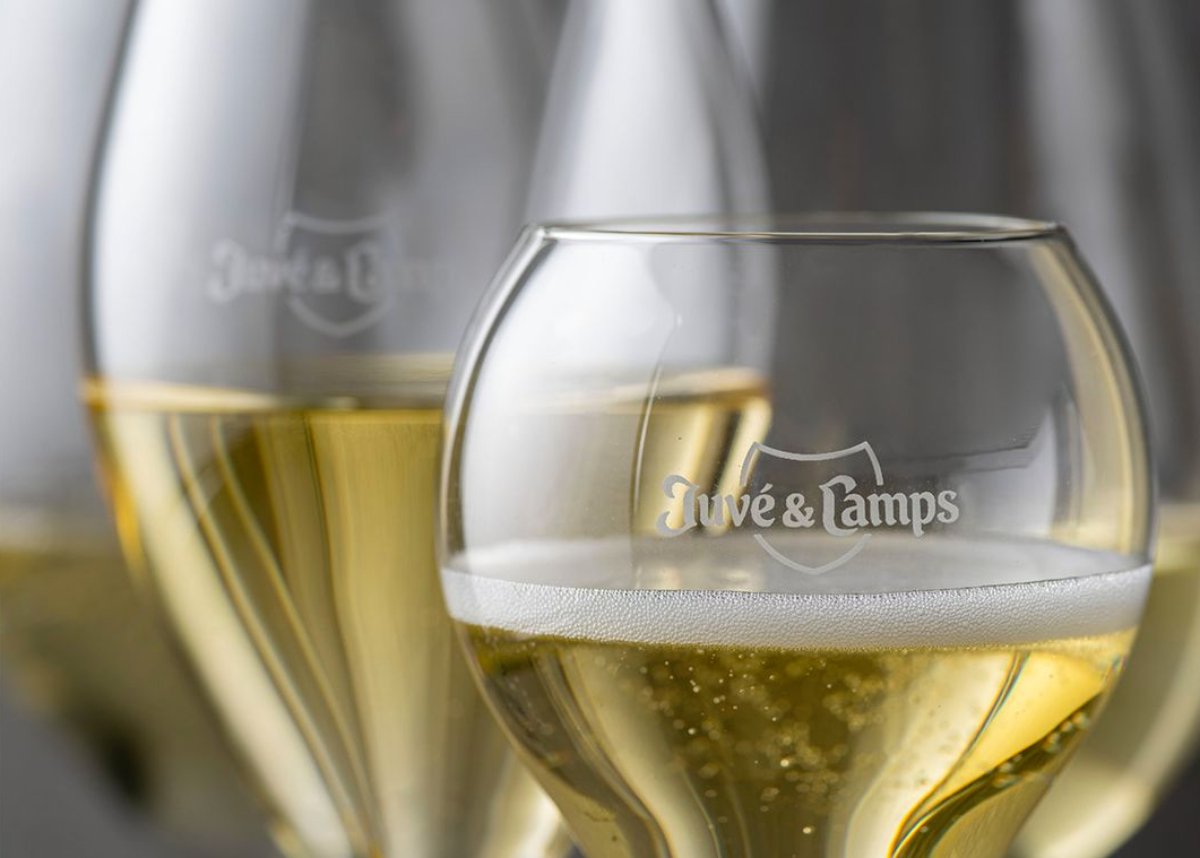 copas de cava de Juve & Camps.