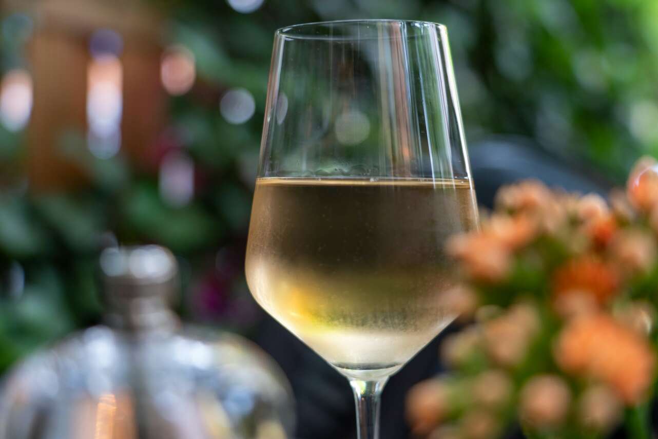 Los mejores albariños para acompañar cualquier plato.