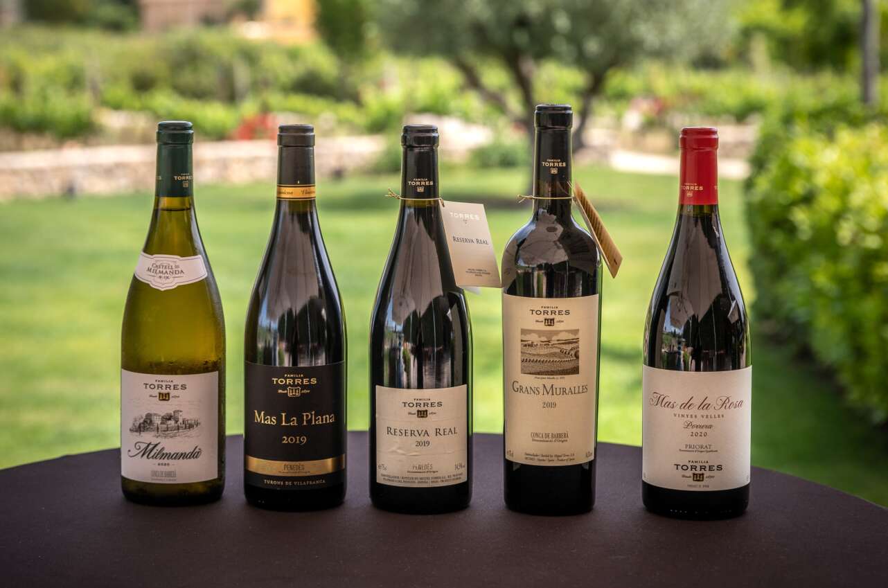 Gama de vinos de Familia Torres.